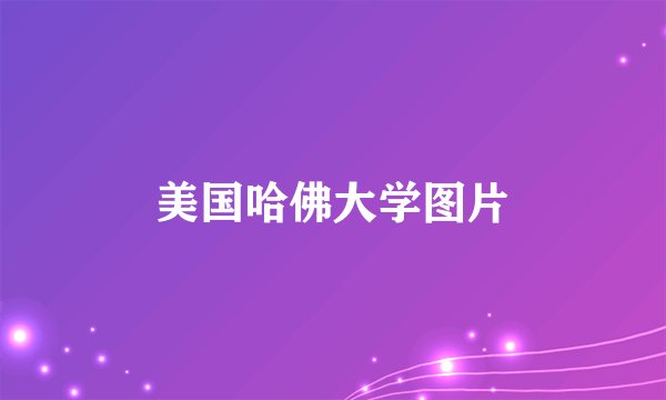 美国哈佛大学图片