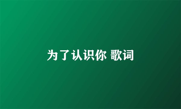 为了认识你 歌词