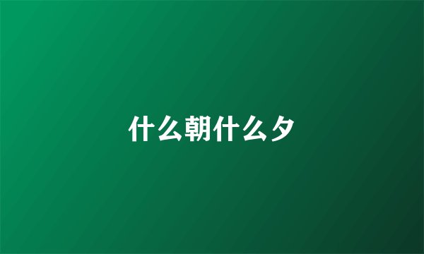 什么朝什么夕