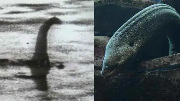 传说中的尼斯湖水怪真的存在吗?