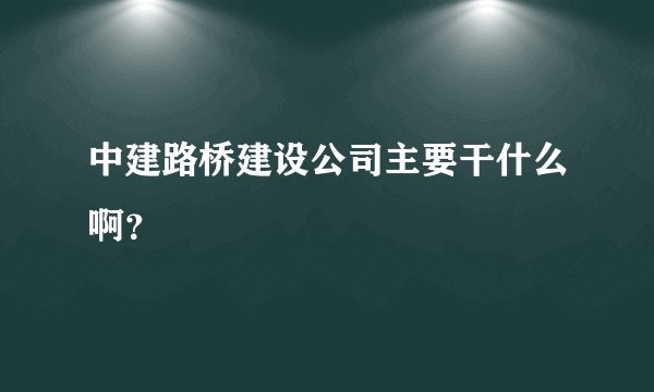 中建路桥建设公司主要干什么啊？