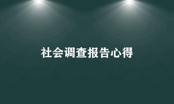 社会调查报告心得