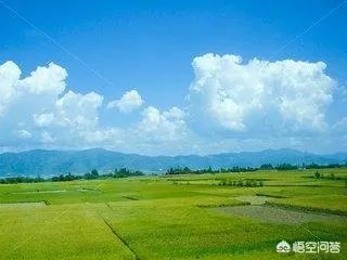 在别人的眼中云南人是什么样子?