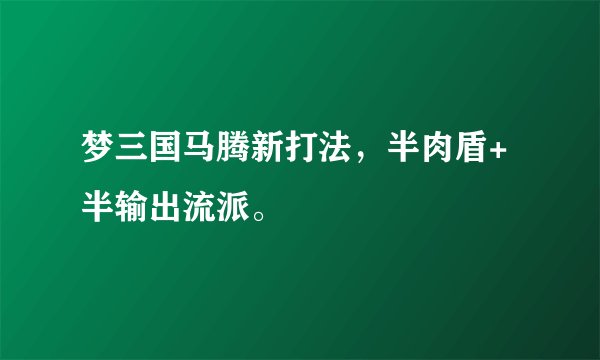 梦三国马腾新打法，半肉盾+半输出流派。