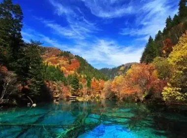 九寨沟国庆遇冷:7天迎客211位,九寨沟为啥不香了?