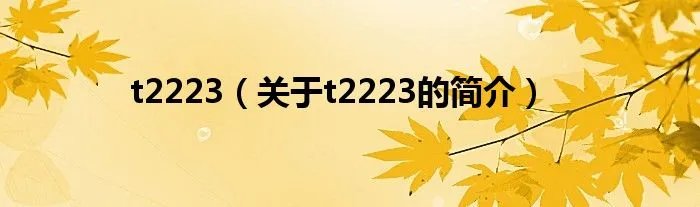t2223（关于t2223的简介）