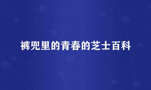 裤兜里的青春的芝士百科