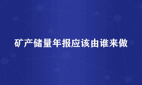 矿产储量年报应该由谁来做