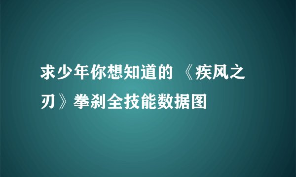 求少年你想知道的 《疾风之刃》拳刹全技能数据图