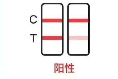新冠自测阳性