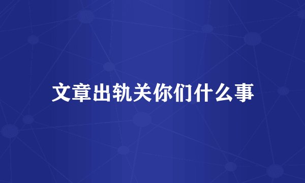 文章出轨关你们什么事