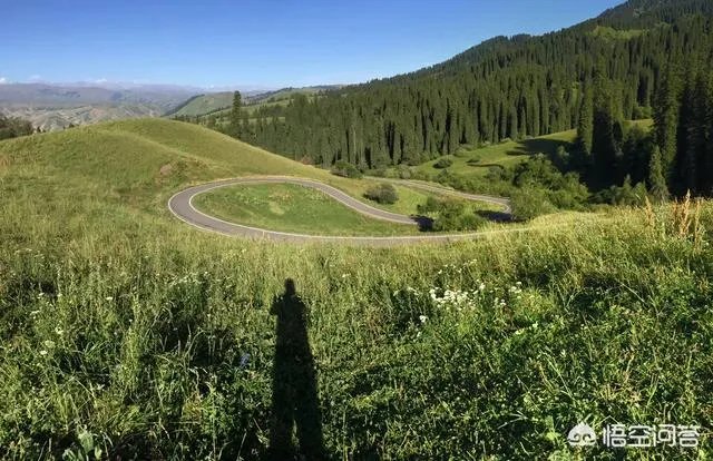 端午节想去草原旅游,这个时节草原好玩儿吗?