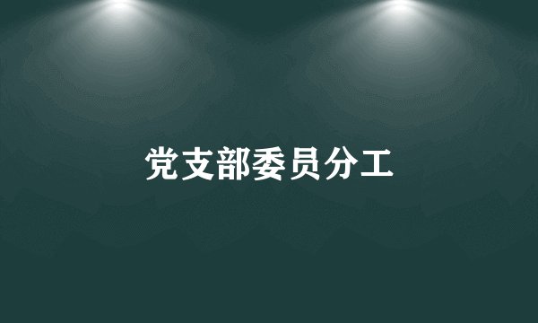 党支部委员分工