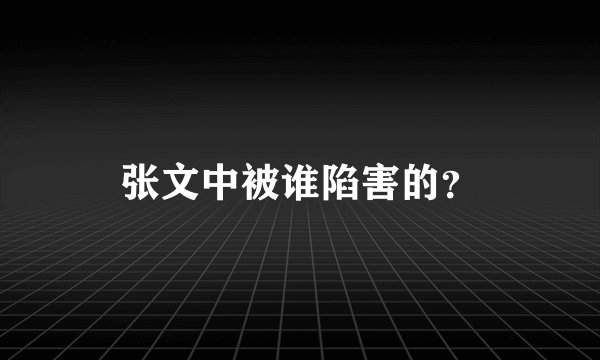 张文中被谁陷害的？