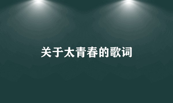 关于太青春的歌词
