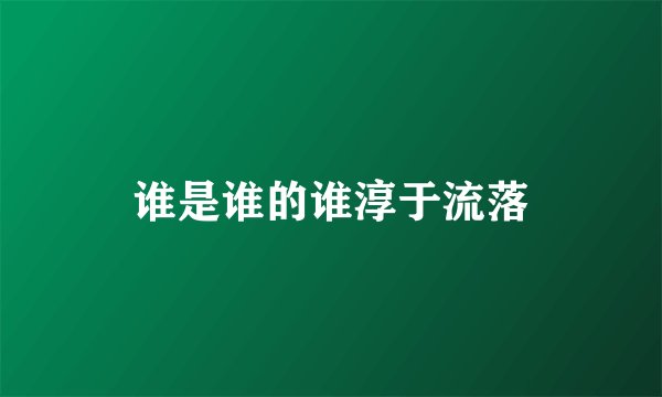 谁是谁的谁淳于流落