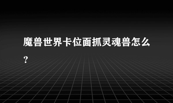 魔兽世界卡位面抓灵魂兽怎么？