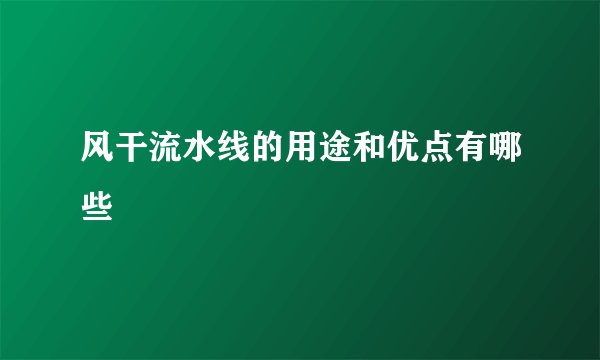 风干流水线的用途和优点有哪些