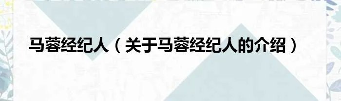 马蓉经纪人（关于马蓉经纪人的介绍）