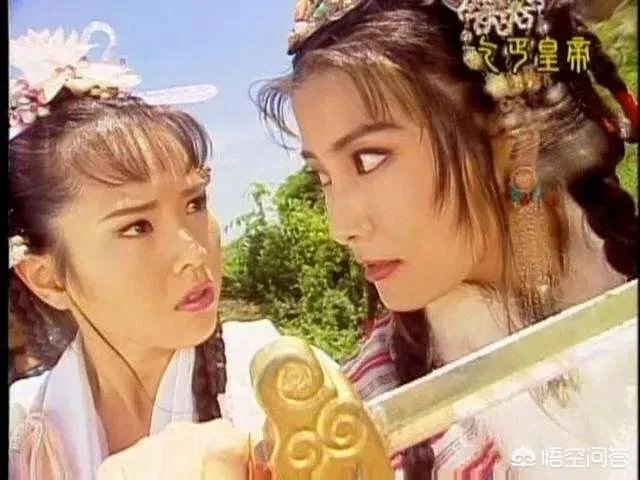 48岁功夫女星杨丽菁为何沦落成无戏可拍？