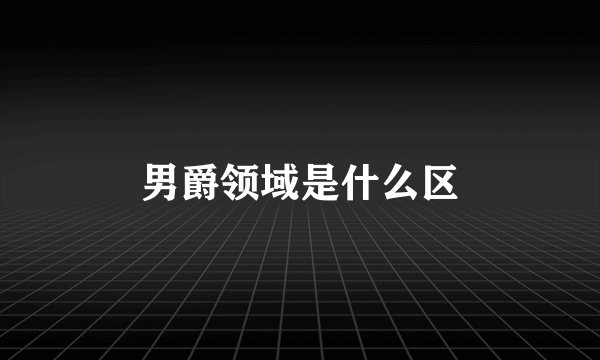 男爵领域是什么区