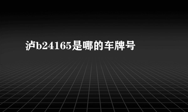 泸b24165是哪的车牌号