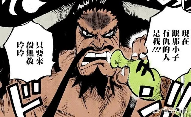 《海贼王》951话更新!凯多和大妈居然在同一艘海贼团待过?