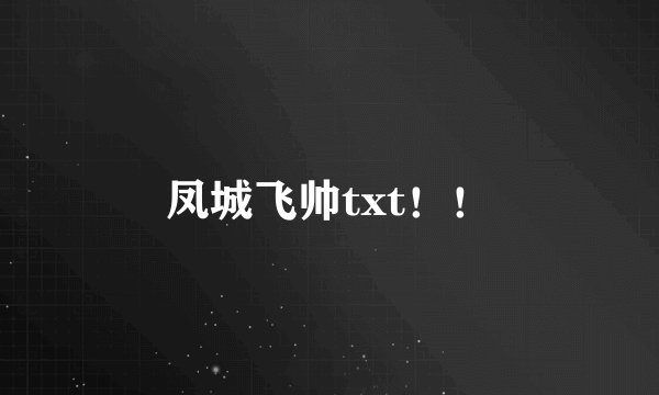 凤城飞帅txt！！
