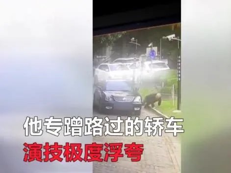 老伯碰瓷被控制:这样的碰瓷真是让人防不胜防(图)