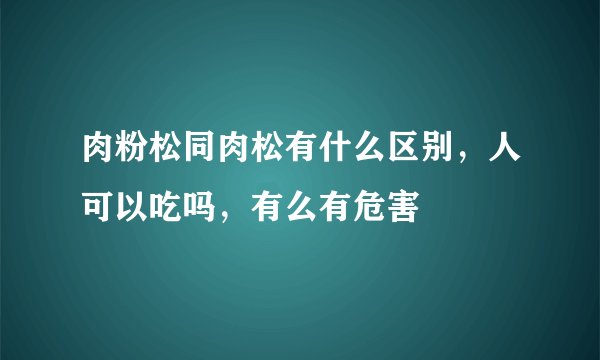肉粉松同肉松有什么区别，人可以吃吗，有么有危害