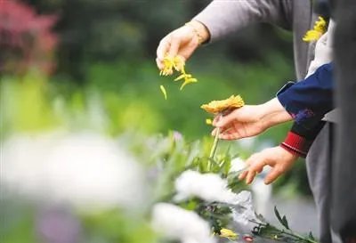 小鬼黄鸿升将进行花葬,什么是花葬?