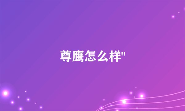 尊鹰怎么样