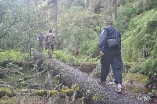 迪亚特洛夫山径事件
