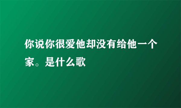 你说你很爱他却没有给他一个家。是什么歌