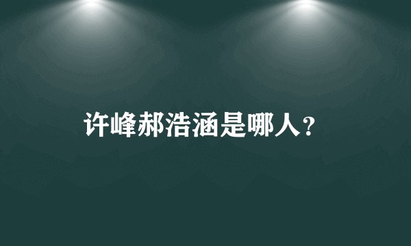 许峰郝浩涵是哪人？