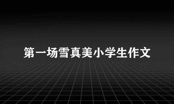 第一场雪真美小学生作文