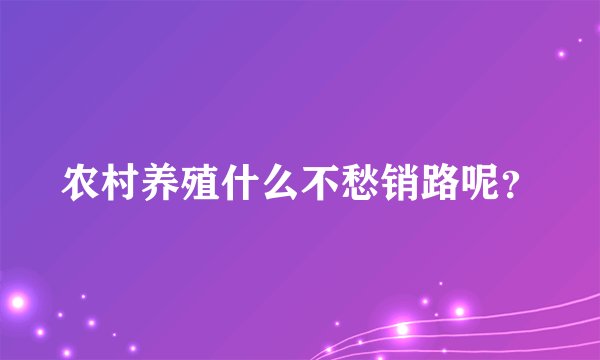 农村养殖什么不愁销路呢？