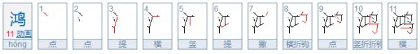 水禽打一字谜底是什么