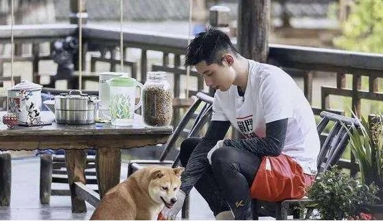为什么说景甜张继科分手女方比男方更释然?