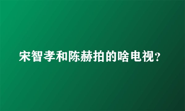宋智孝和陈赫拍的啥电视？