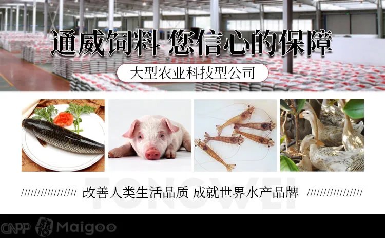 品牌榜：2023年四川省十大品牌排行榜 投票结果公布