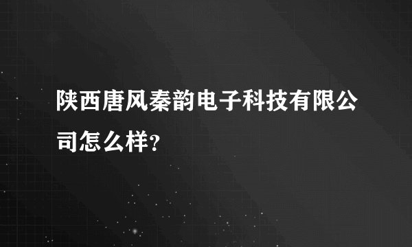 陕西唐风秦韵电子科技有限公司怎么样？