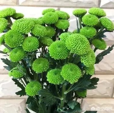春节返程,大家来晒一晒“妈妈的行李箱”里都给你准备了啥?大声说出你的爱吧?