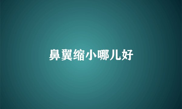 鼻翼缩小哪儿好