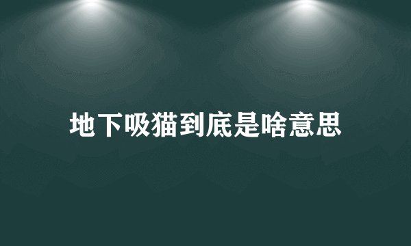 地下吸猫到底是啥意思