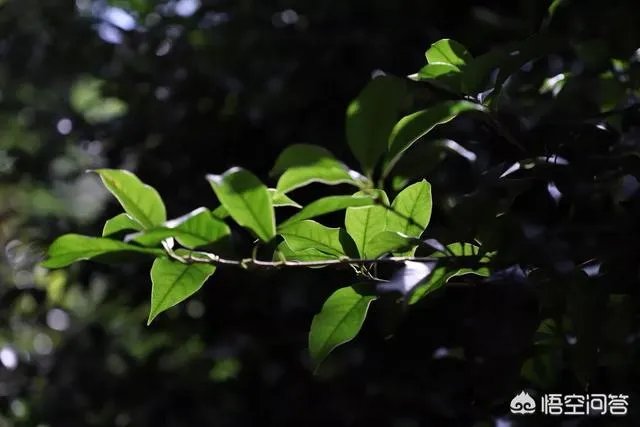 新手应该怎么学摄影?应该从哪里开始学?