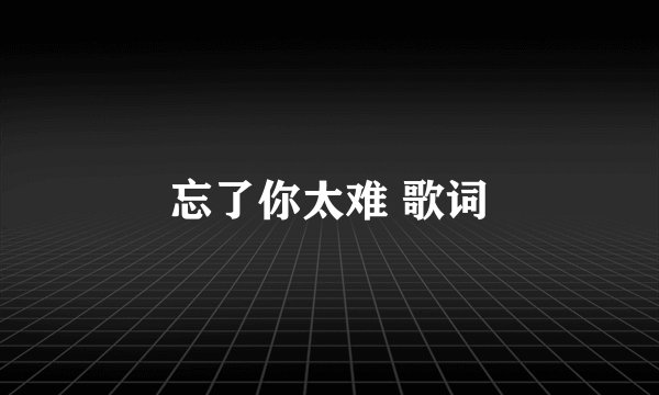 忘了你太难 歌词