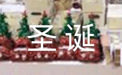 圣诞快乐