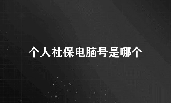 个人社保电脑号是哪个