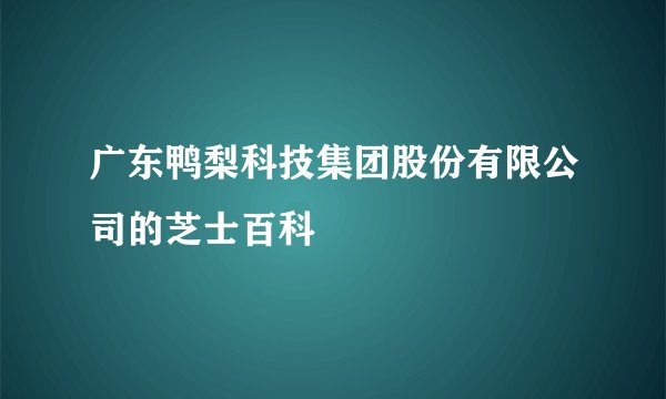 广东鸭梨科技集团股份有限公司的芝士百科